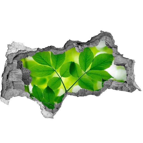 Zelfklevende 3D wandsticker illusie Een groene oase in beton.