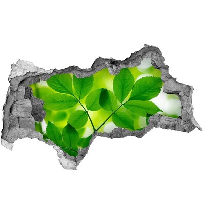 Zelfklevende 3D wandsticker illusie Een groene oase in beton.