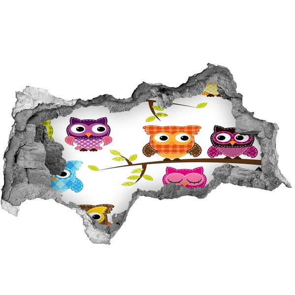 Wandsticker 3D doorkijk Kleurrijke uilen op een tak
