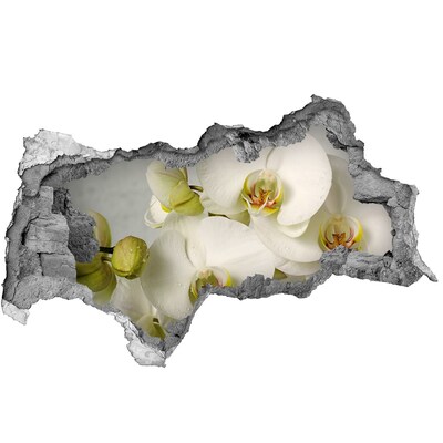 3D sticker gat in stenen muur Bloemen in beton