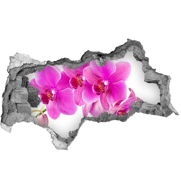 Zelfklevende 3D wandsticker illusie Orchideeën in een betonnen gat
