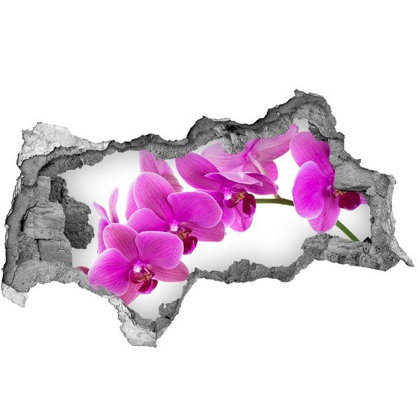 3D sticker gat in stenen muur Orchideeën door een gat in de muur
