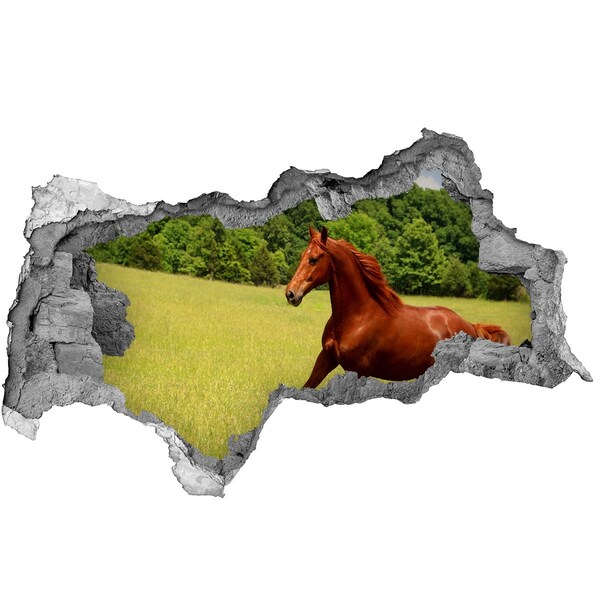 Wandsticker 3D doorkijk Galopperend paard in een schilderachtige weide