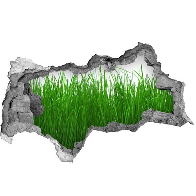 Wandsticker 3D doorkijk Groene weide door een gat in de muur