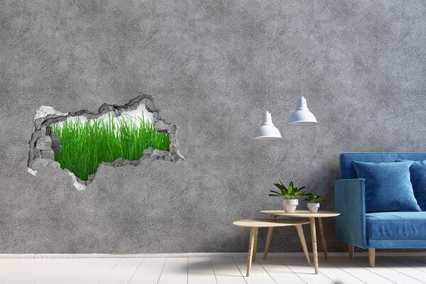 Wandsticker 3D doorkijk Groene weide door een gat in de muur
