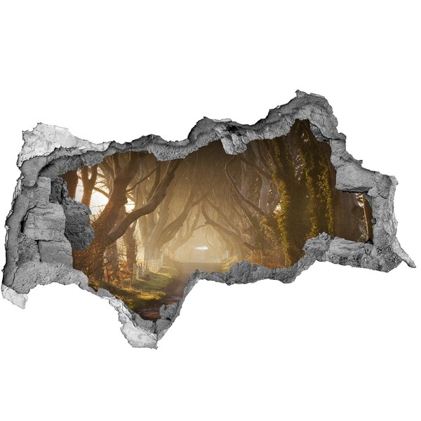 3D sticker gat in stenen muur Een pad tussen de bomen