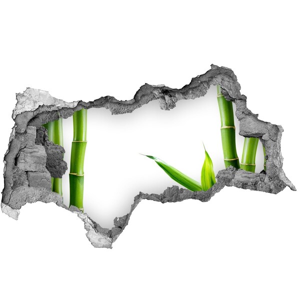 Zelfklevende 3D wandsticker illusie Groene plant door een gat in de muur