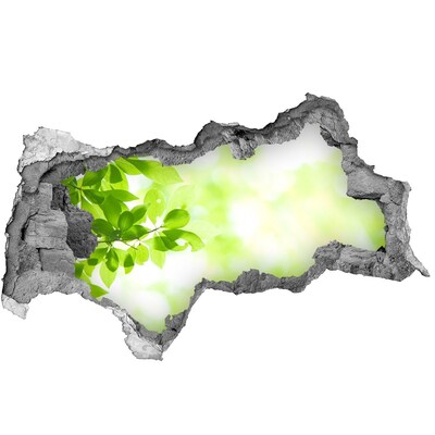 Zelfklevende 3D wandsticker illusie Groen paradijs achter de muur