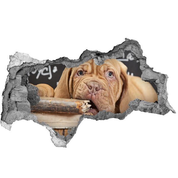 Wandsticker 3D doorkijk Een lief puppy tussen de boeken