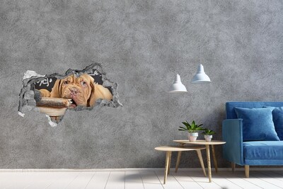 Wandsticker 3D doorkijk Een lief puppy tussen de boeken