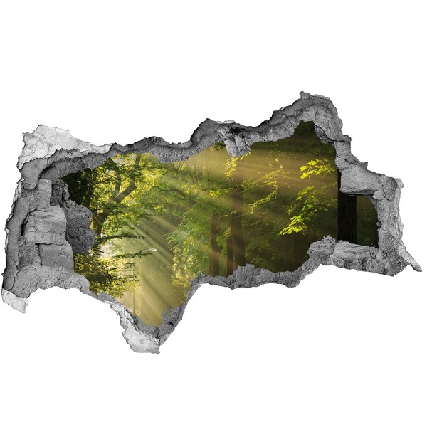 Wandsticker 3D doorkijk Bosoase van Licht