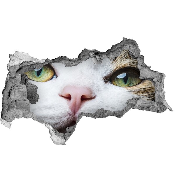 3D sticker gat in stenen muur De kat in de muur