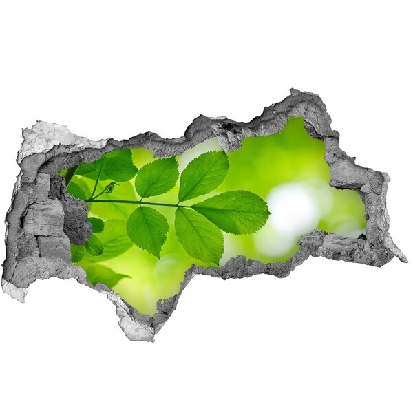 Zelfklevende 3D wandsticker illusie Een groene oase in beton.