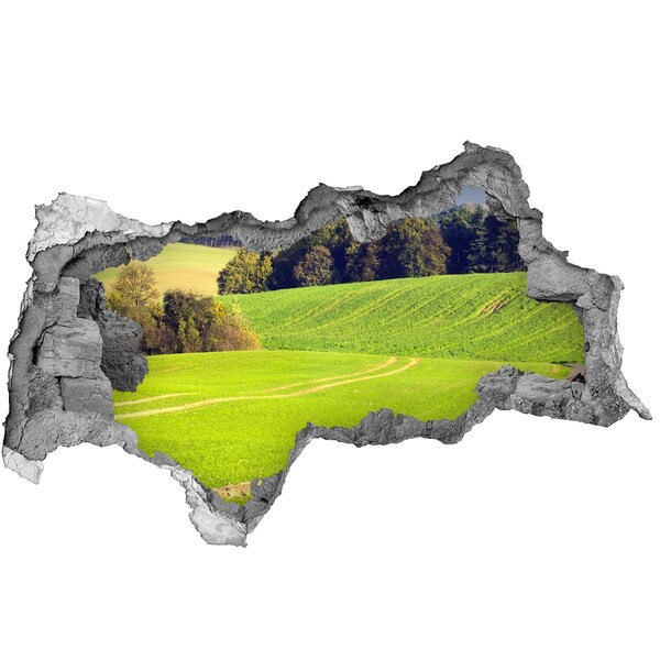 Zelfklevende 3D wandsticker illusie Een groene weide achter de muur