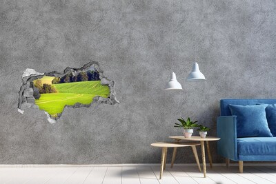 Zelfklevende 3D wandsticker illusie Een groene weide achter de muur