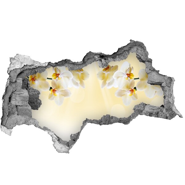 Zelfklevende 3D wandsticker illusie Een bloemenparadijs achter de muur