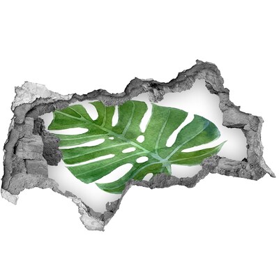 3D muursticker gescheurde muur Groene monstera in beton