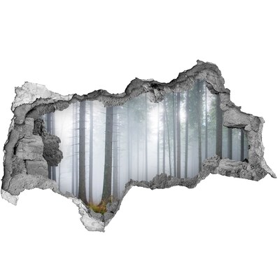 Wandsticker 3D doorkijk Nevelbos