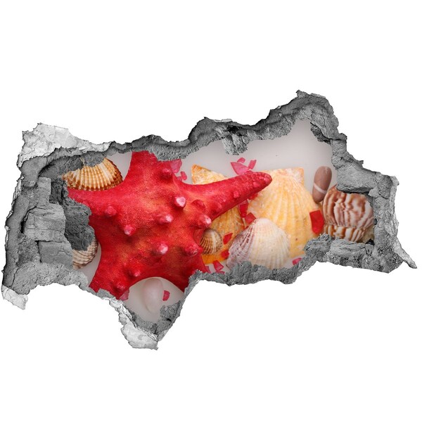 Wandsticker 3D doorkijk Onderwaterwereld met schelpen