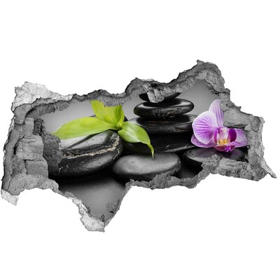 3D sticker gat in stenen muur Een rustgevend uitzicht met stenen en planten.