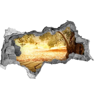 3D muursticker gescheurde muur Tuin in de zon