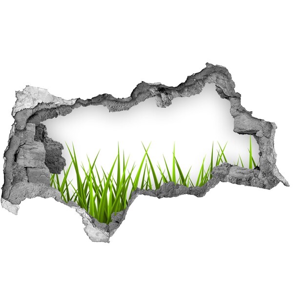 3D muursticker gescheurde muur Een groene weide achter de muur