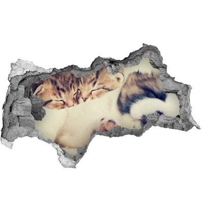 Zelfklevende 3D wandsticker illusie Schattige kittens in een gat in de muur