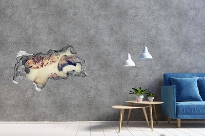 Zelfklevende 3D wandsticker illusie Schattige kittens in een gat in de muur