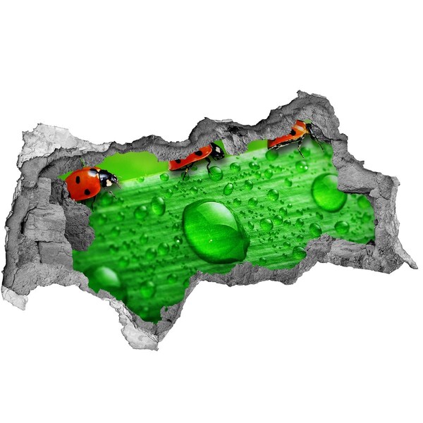 3D sticker gat in stenen muur Een dauwdruppel op een blad