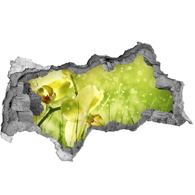 Zelfklevende 3D wandsticker illusie Een bloemenparadijs te midden van het groen.