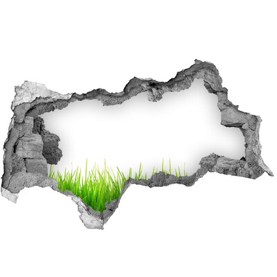 3D muursticker gescheurde muur Een groene weide achter de muur