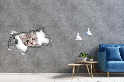 3D sticker gat in stenen muur Kitten in een gat in de muur