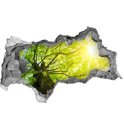 3D muursticker gescheurde muur Groen bos in de zonnestralen