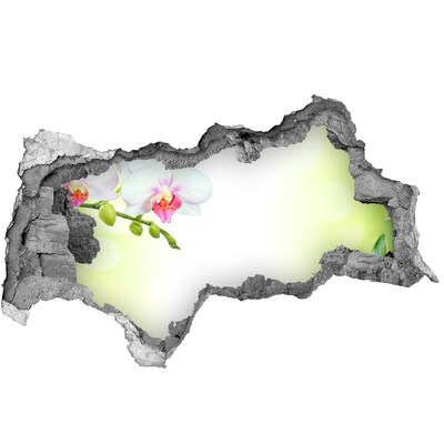 3D sticker gat in stenen muur Orchideeën in de bamboetuin