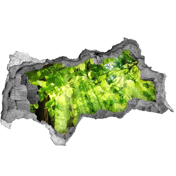 3D muursticker gescheurde muur Groen bos in de zonnestralen