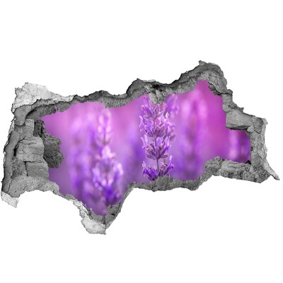 3D muursticker gescheurde muur Een vogelperspectief van de stad