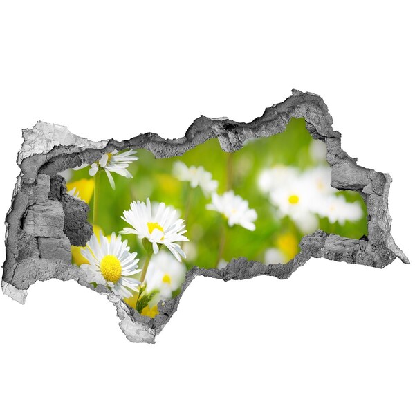 Zelfklevende 3D wandsticker illusie Bloemen in de weide