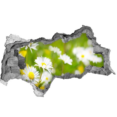 Zelfklevende 3D wandsticker illusie Bloemen in de weide