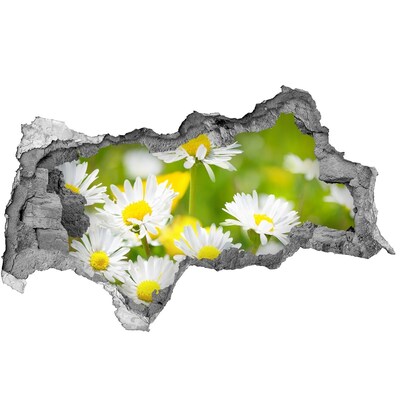 3D muursticker gescheurde muur Straat met een monument