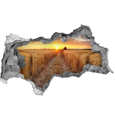 Wandsticker 3D doorkijk Zwarte beren tegen een ingestorte muur