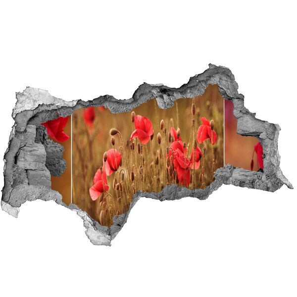 Zelfklevende 3D wandsticker illusie Kosmische ruimte achter de muur