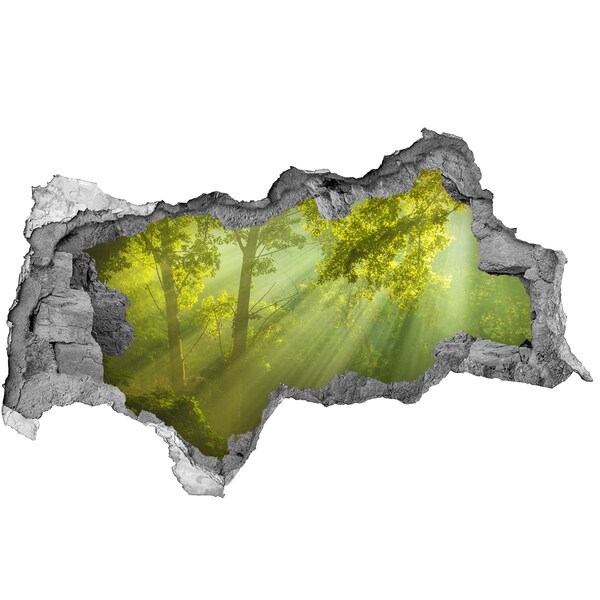 Wandsticker 3D doorkijk Bonsai in een gat in de muur