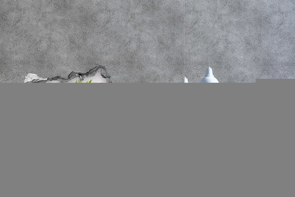 3D muursticker gescheurde muur Groen bos aan de rivier