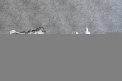 3D muursticker gescheurde muur Groen bos aan de rivier