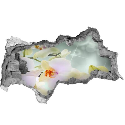 Zelfklevende 3D wandsticker illusie Wijn en druiven