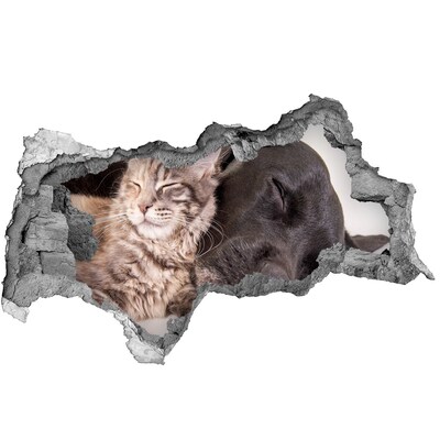 3D sticker gat in stenen muur Blauwe lucht met wolken