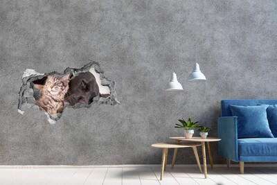 3D sticker gat in stenen muur Blauwe lucht met wolken