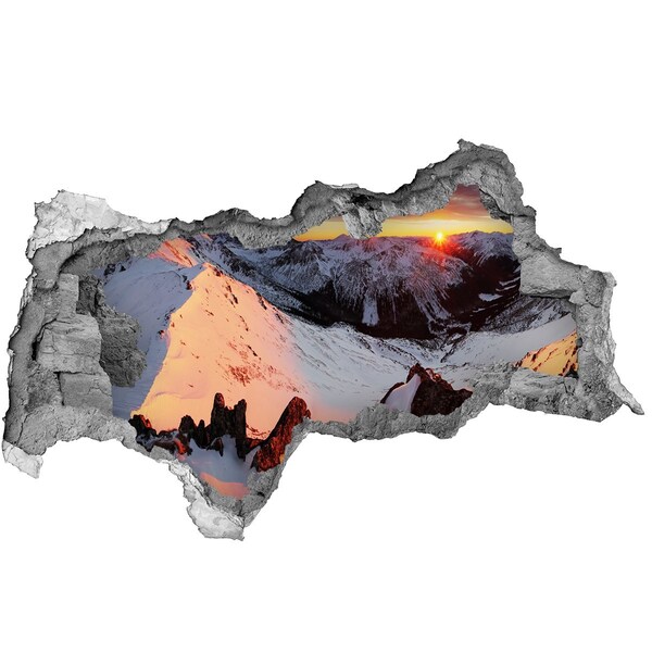 3D sticker gat in stenen muur Zwarte kat door een gat in de muur