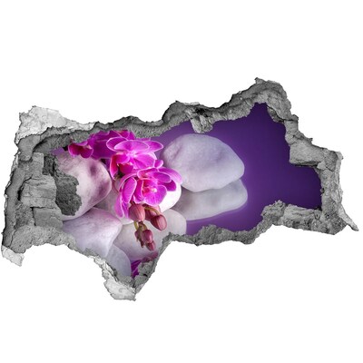 3D sticker gat in stenen muur Groene plant in een gat in de muur