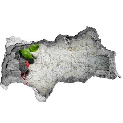 3D muursticker gescheurde muur Golden Gate Bridge in Californië